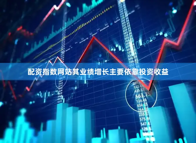 配资指数网站其业绩增长主要依靠投资收益