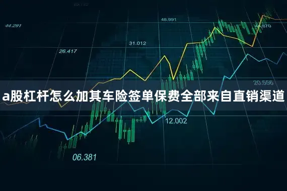 a股杠杆怎么加其车险签单保费全部来自直销渠道